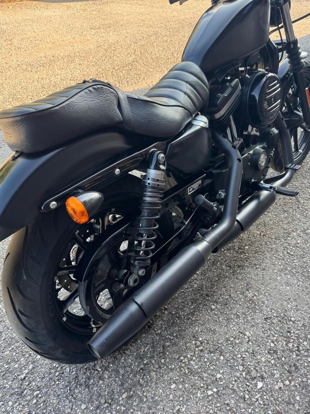 Harley-Davidson 883 Iron (2017 - 20) - XL 883N (4)