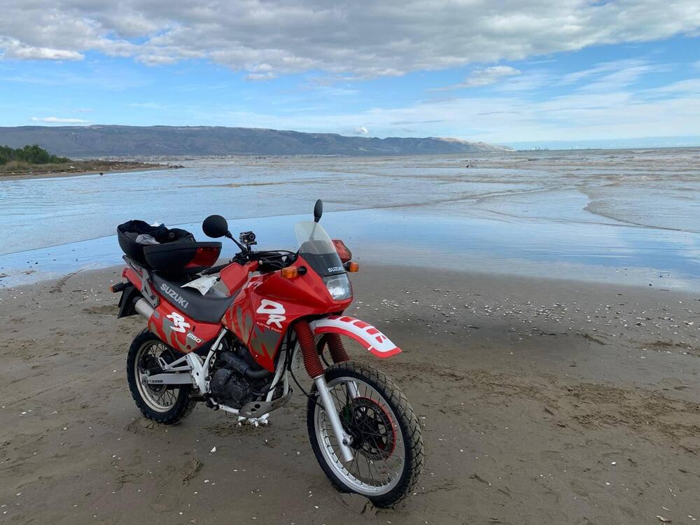 Suzuki DR 650 RSE (1991 - 97) (6)