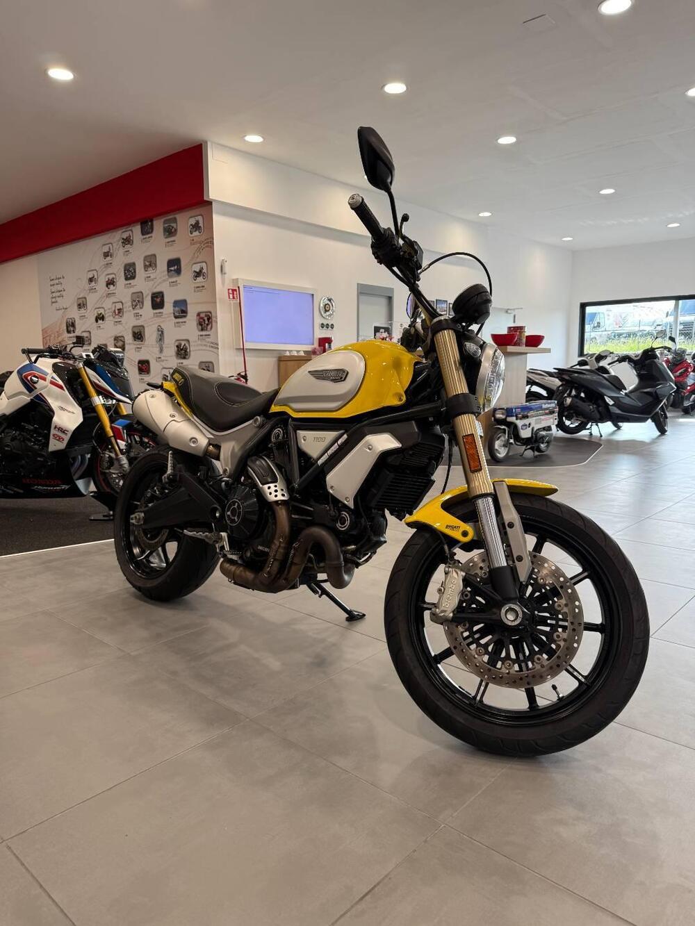 Ducati Scrambler 1100 (2018 - 20) (6)