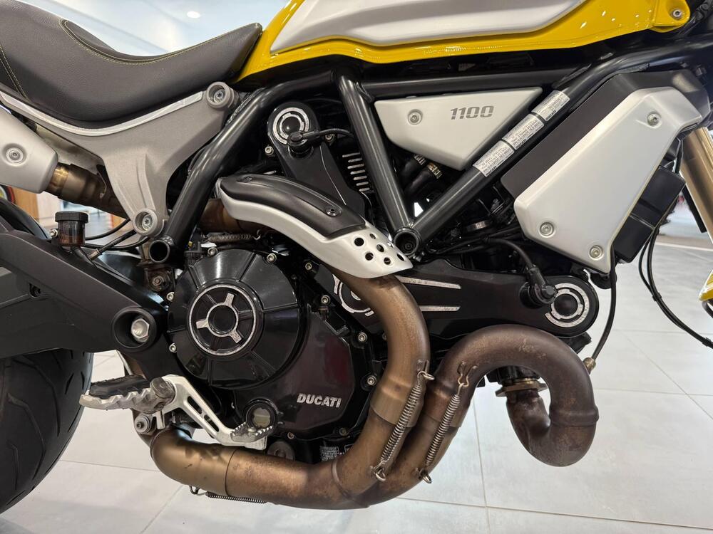 Ducati Scrambler 1100 (2018 - 20) (16)