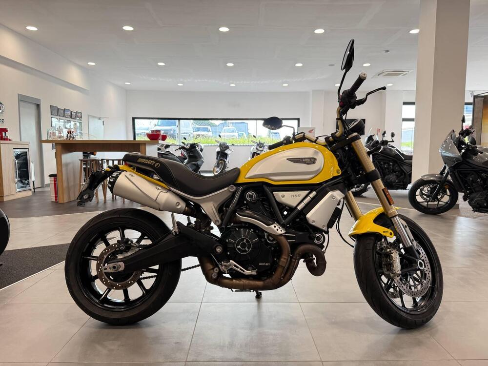 Ducati Scrambler 1100 (2018 - 20) (7)