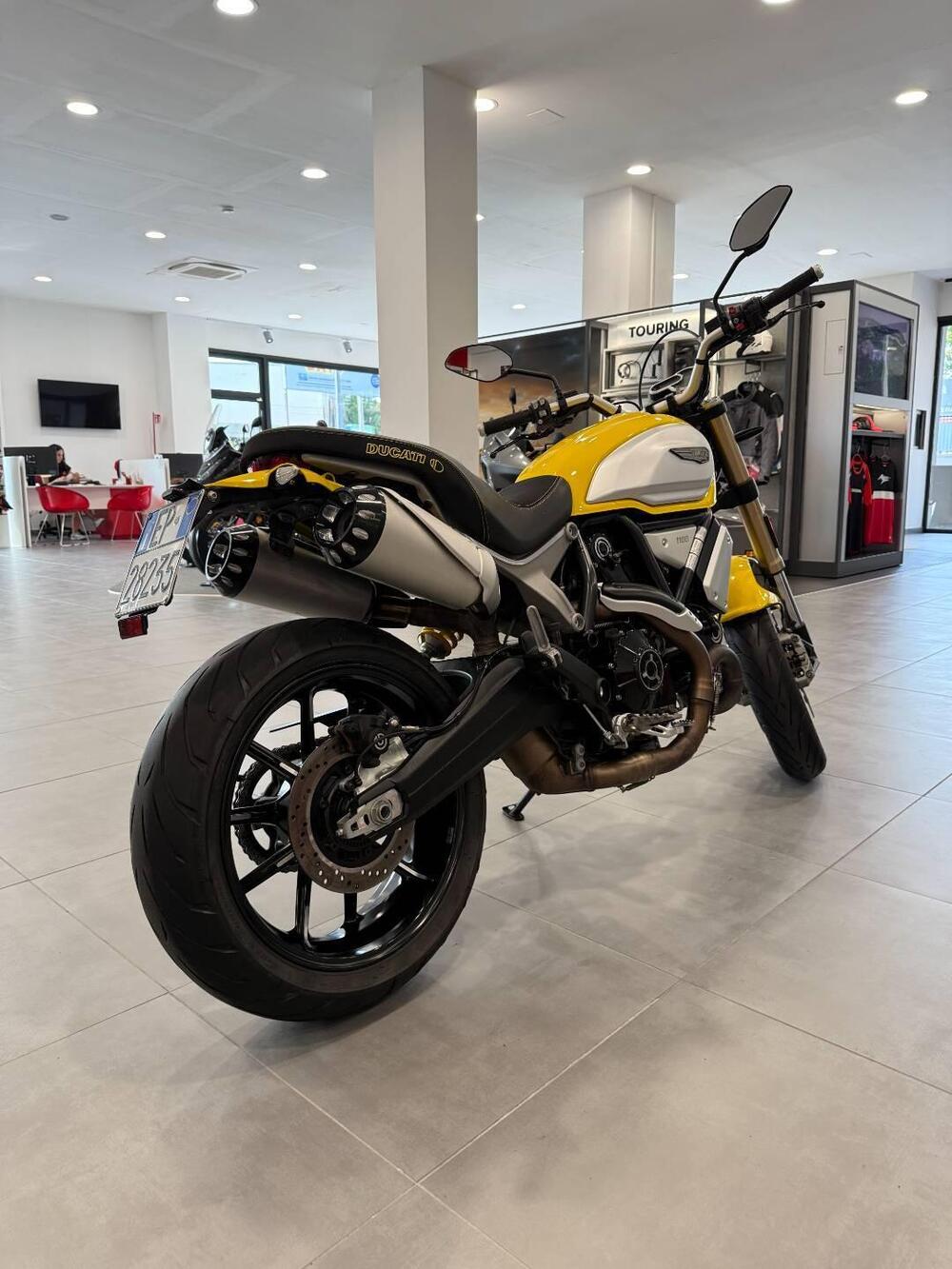 Ducati Scrambler 1100 (2018 - 20) (8)