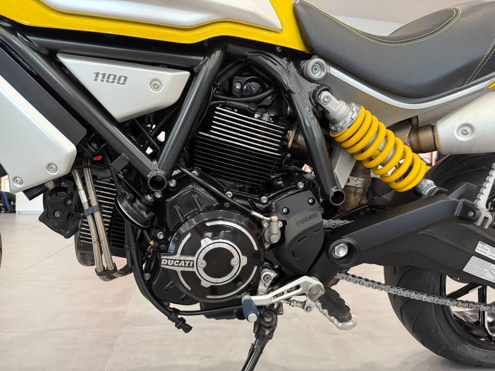 Ducati Scrambler 1100 (2018 - 20) (13)