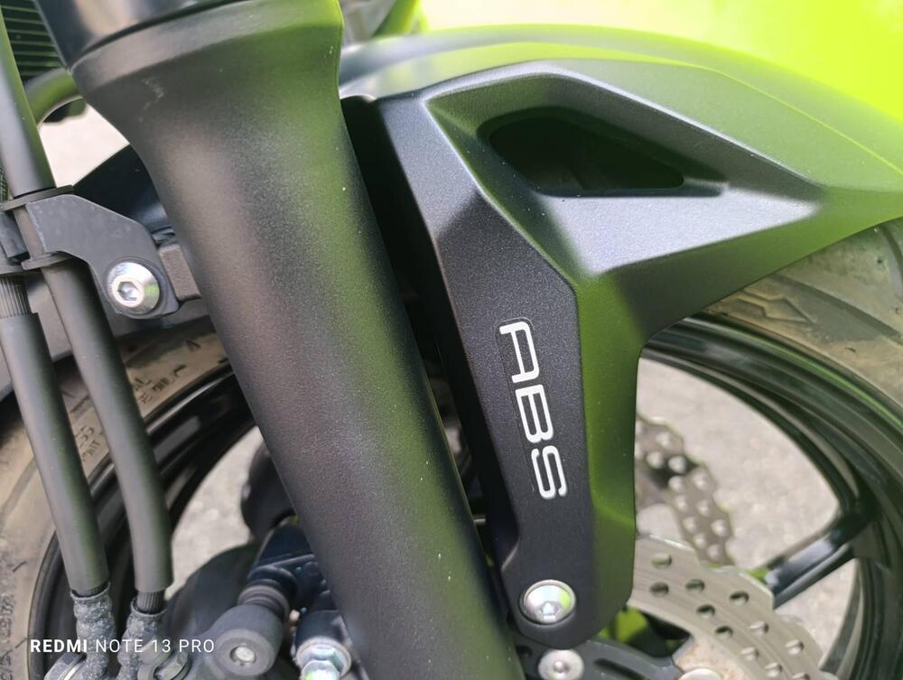 Kawasaki Z 650 (2021 - 24) (9)