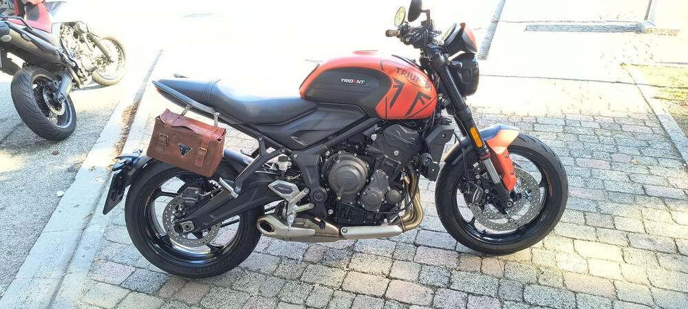 Triumph Trident 660 (2021 - 24) (3)
