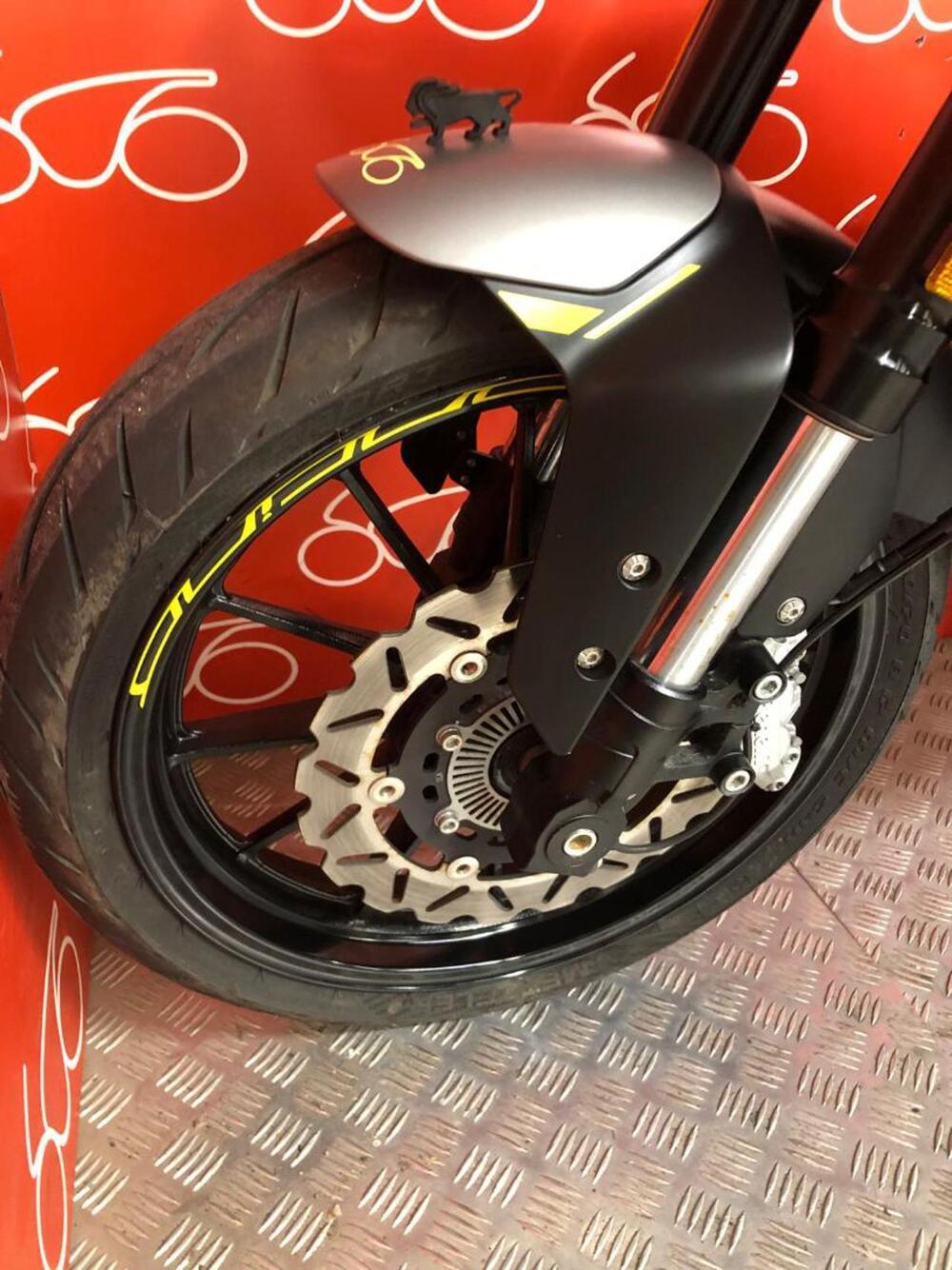 Benelli Leoncino 250 (2021 - 25) (5)