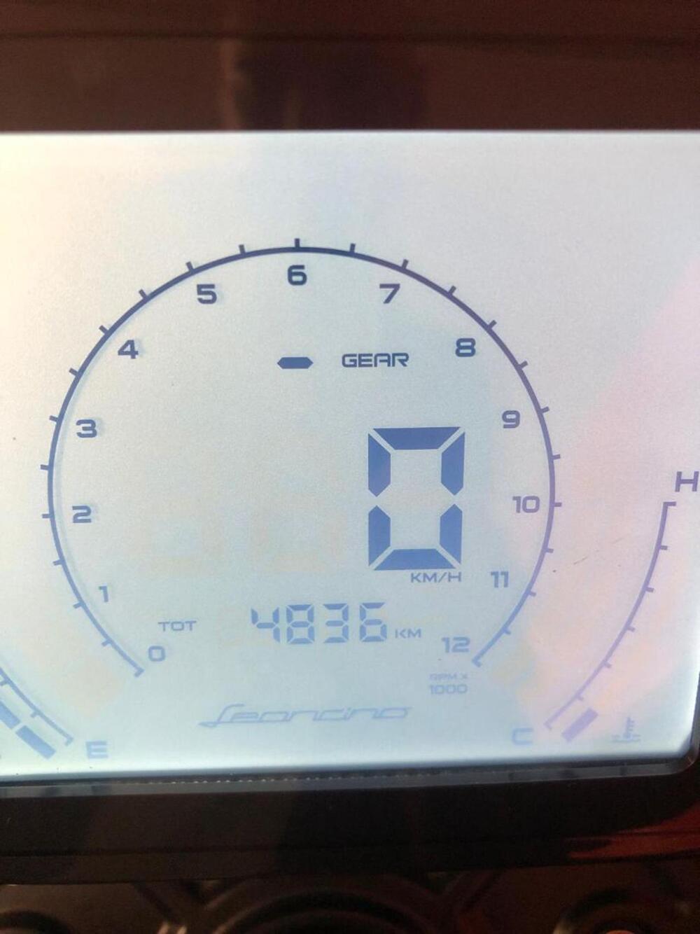 Benelli Leoncino 250 (2021 - 25) (8)