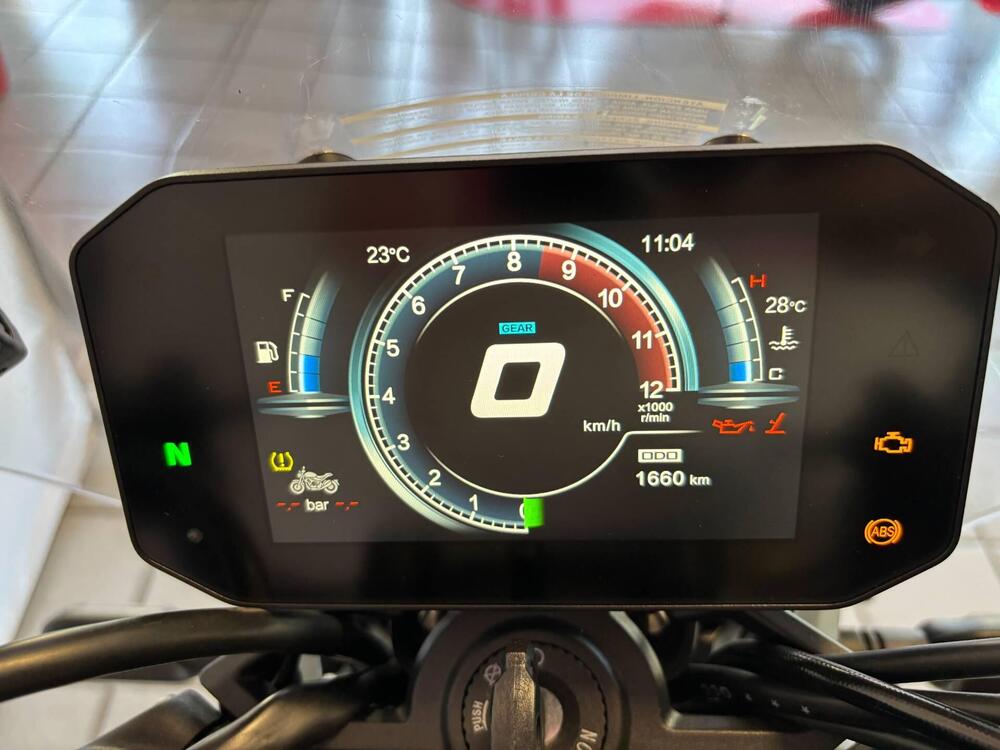 Voge Trofeo 525ACX Scrambler (2023 - 26) (3)