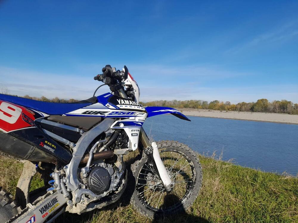 Yamaha WR 250 F (2016) (3)
