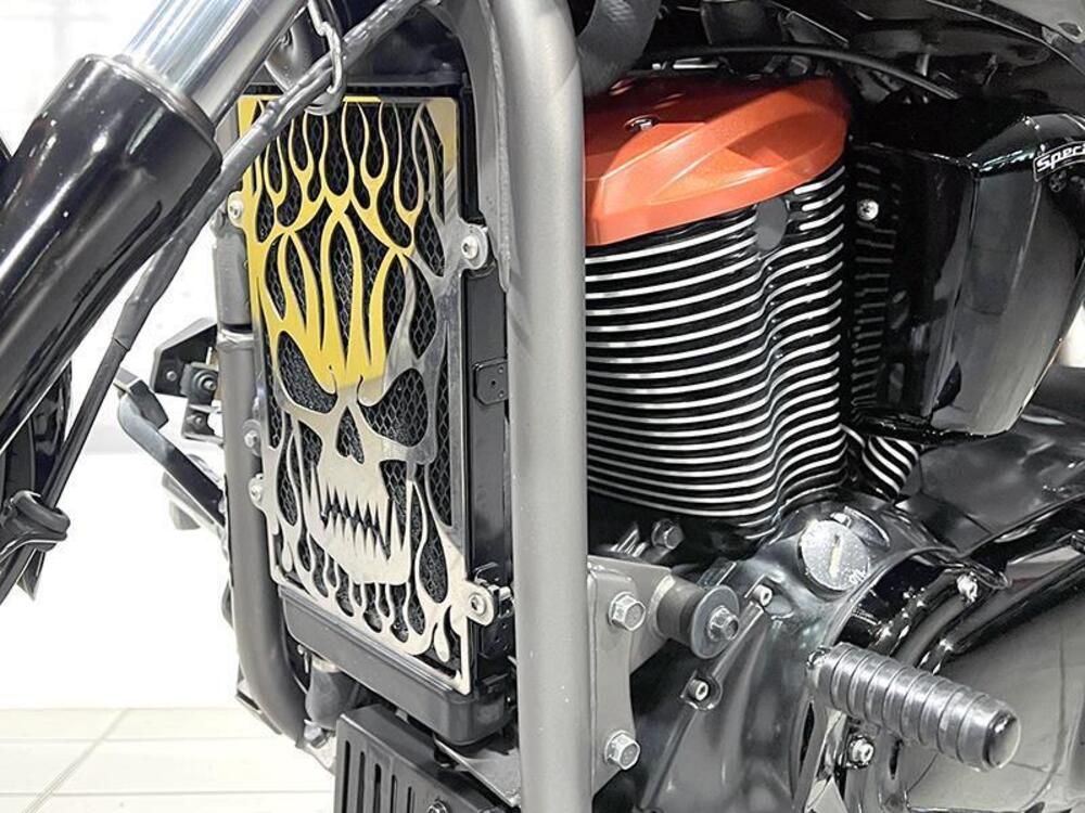 Kawasaki Vulcan VN 900 Custom (2006 - 09) (5)