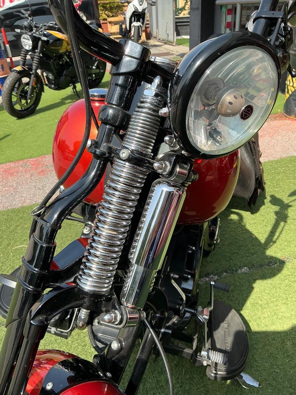 Harley-Davidson 1584 Cross Bones (2008 - 11) - FLSTSB (8)