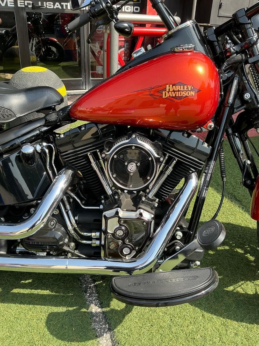 Harley-Davidson 1584 Cross Bones (2008 - 11) - FLSTSB (9)