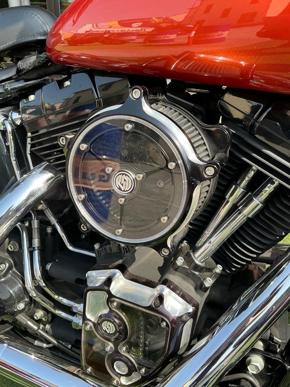 Harley-Davidson 1584 Cross Bones (2008 - 11) - FLSTSB (11)