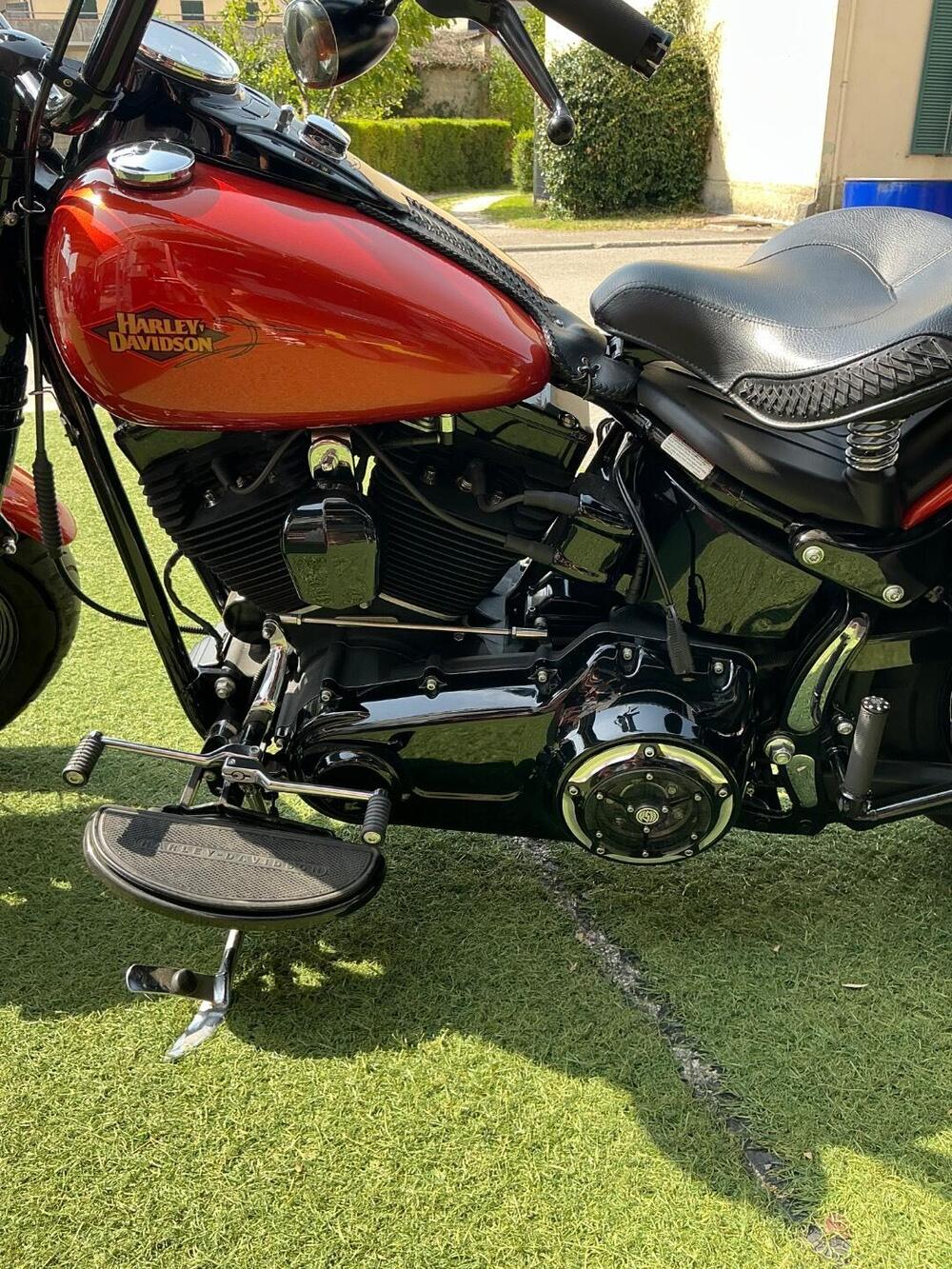 Harley-Davidson 1584 Cross Bones (2008 - 11) - FLSTSB (13)