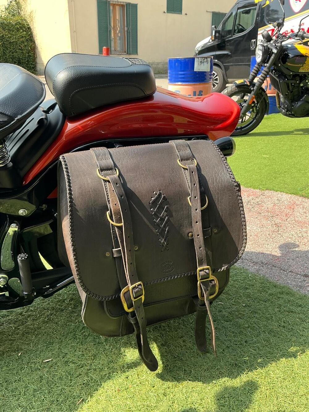 Harley-Davidson 1584 Cross Bones (2008 - 11) - FLSTSB (14)