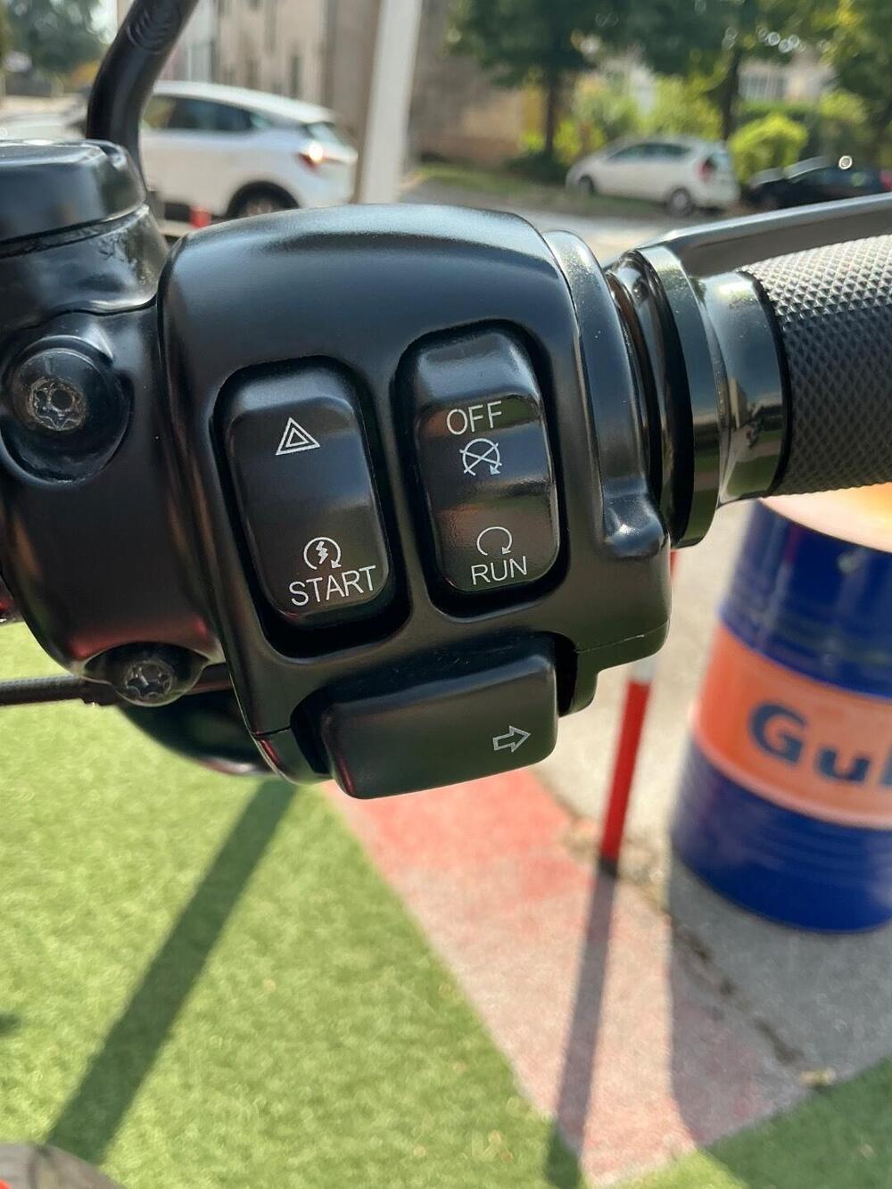 Harley-Davidson 1584 Cross Bones (2008 - 11) - FLSTSB (18)