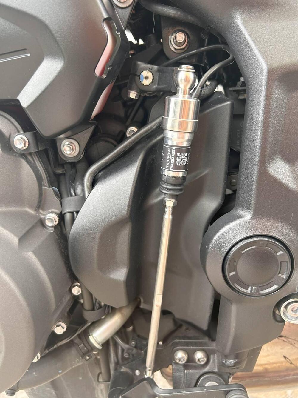 Triumph Trident 660 (2021 - 24) (9)