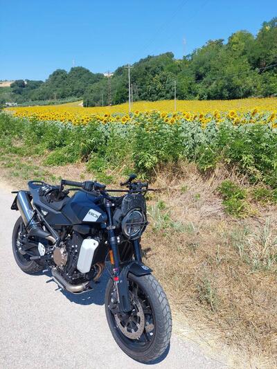 Husqvarna Svartpilen 801 (2024 - 25) usata