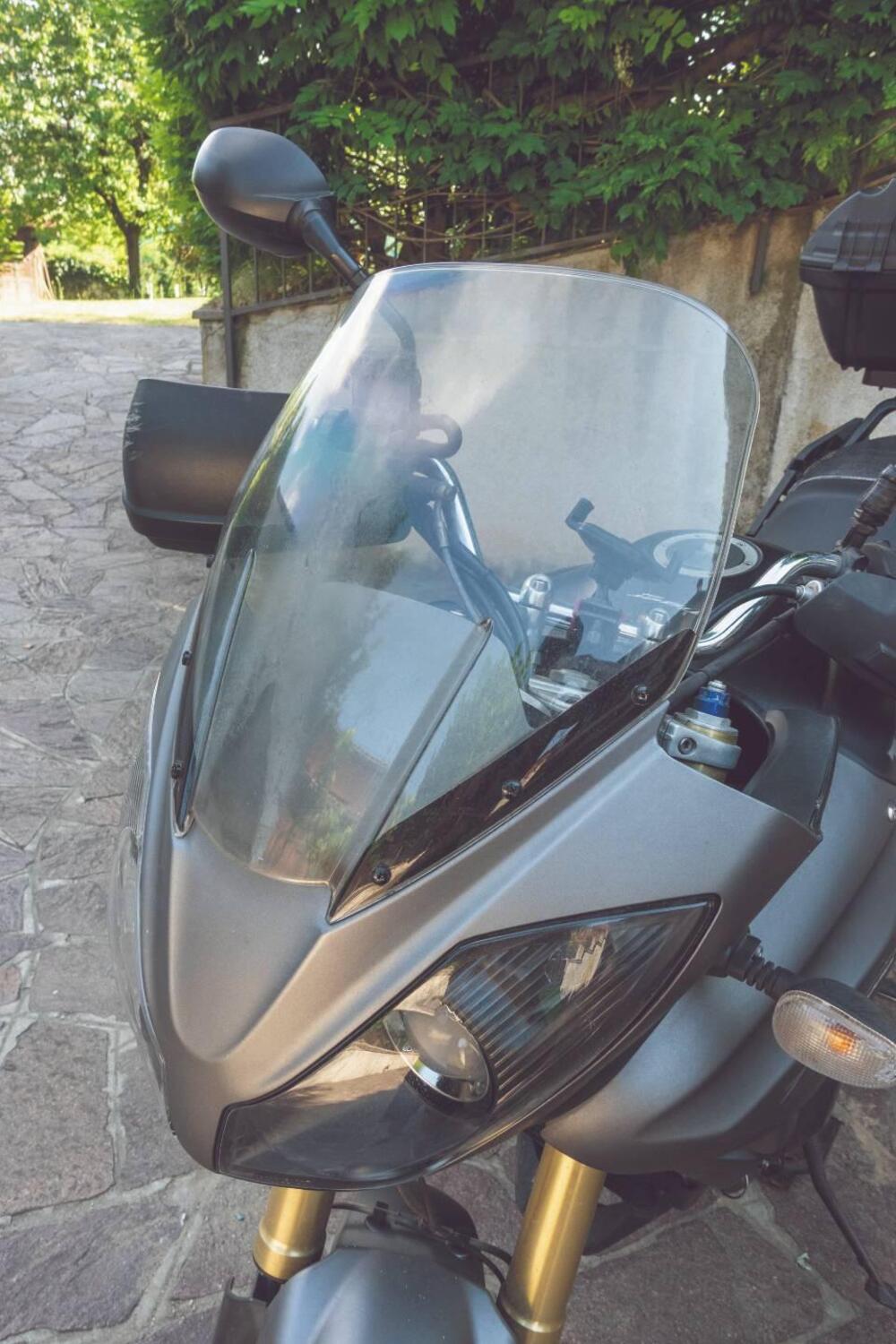 Triumph Tiger 1050 ABS (2006 - 12) (10)