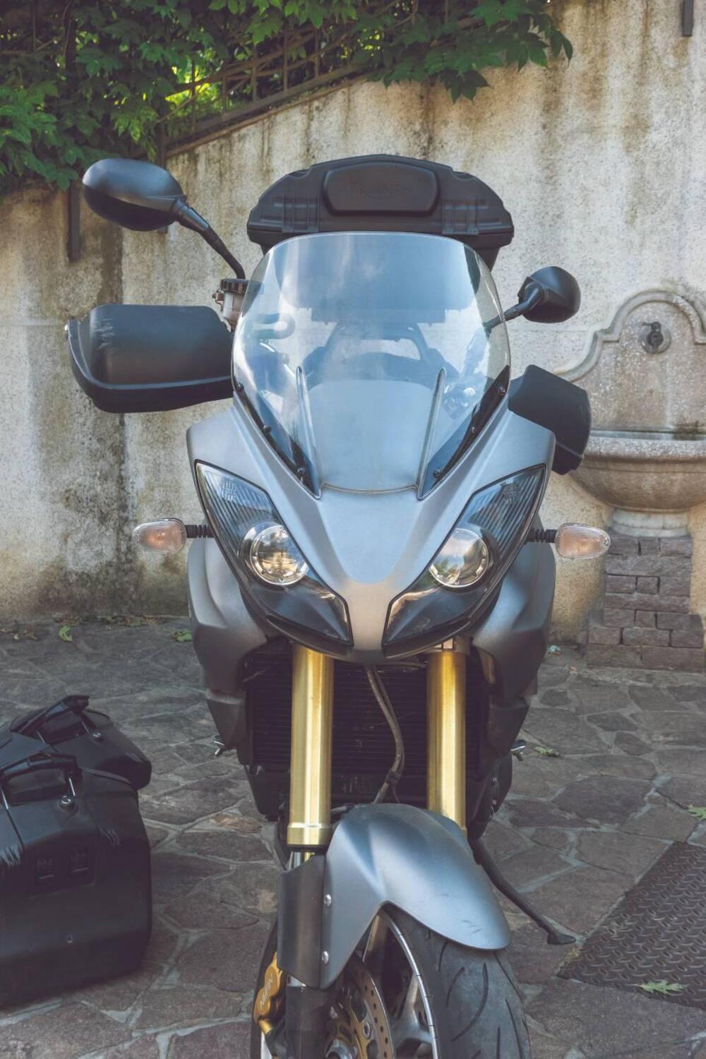 Triumph Tiger 1050 ABS (2006 - 12) (12)