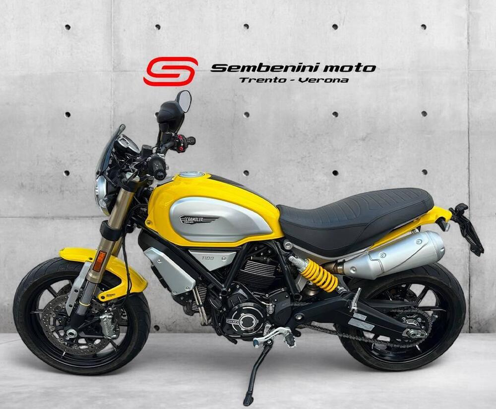 Ducati Scrambler 1100 (2018 - 20) (2)
