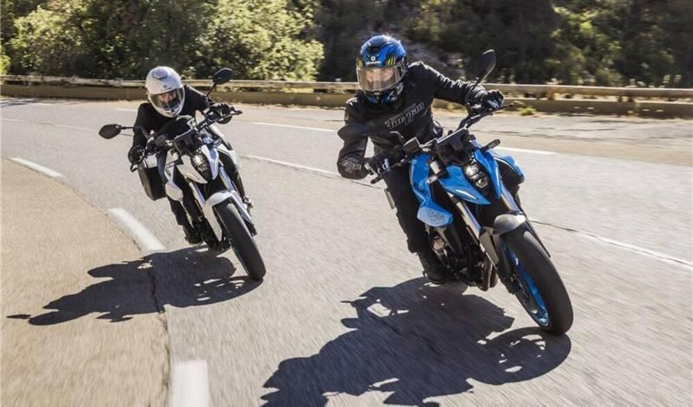 Suzuki GSX-8S (2025 - 26) (6)