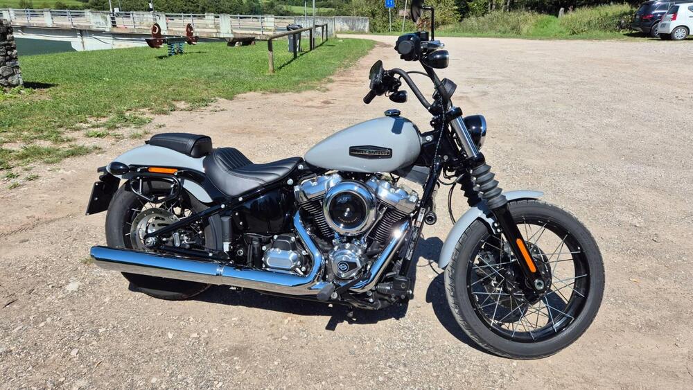 Harley-Davidson Street Bob 117 (2025 - 26)