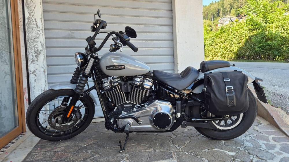 Harley-Davidson Street Bob 117 (2025 - 26) (2)