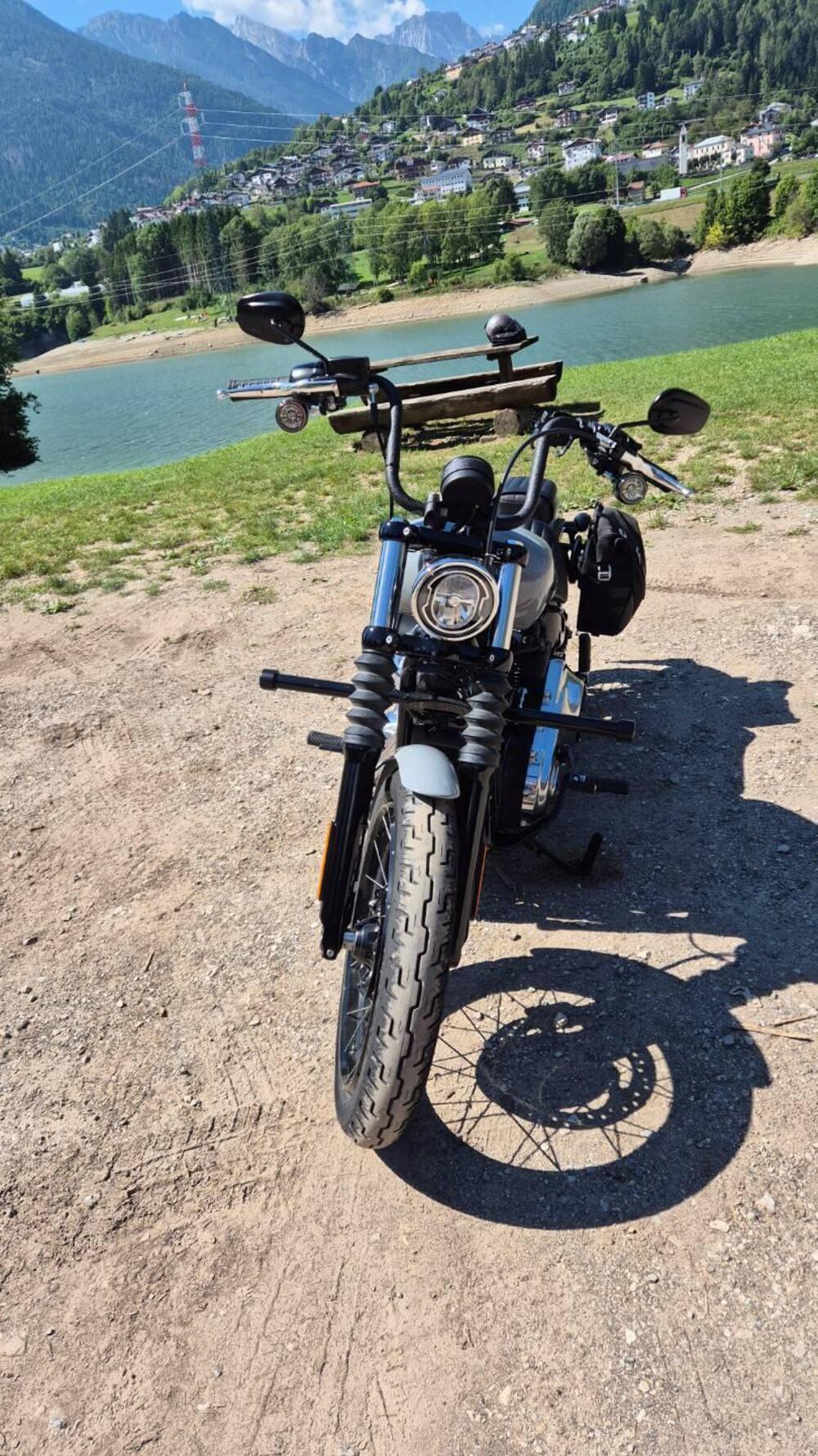 Harley-Davidson Street Bob 117 (2025 - 26) (3)