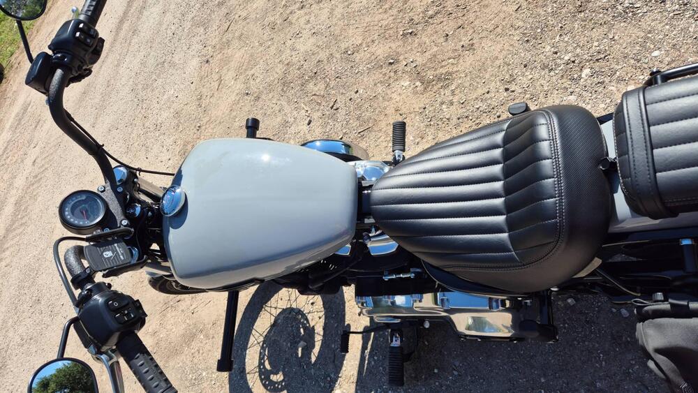 Harley-Davidson Street Bob 117 (2025 - 26) (6)
