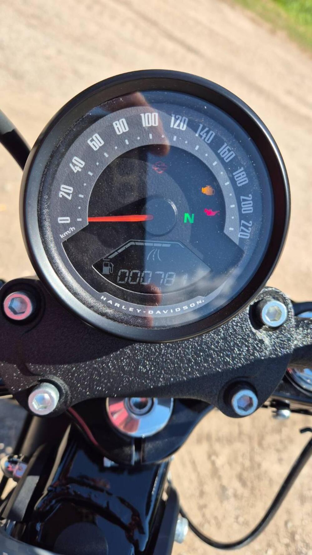 Harley-Davidson Street Bob 117 (2025 - 26) (8)