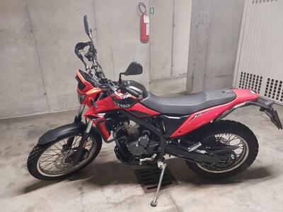 Betamotor Alp 4.0 (2024 - 25) usata