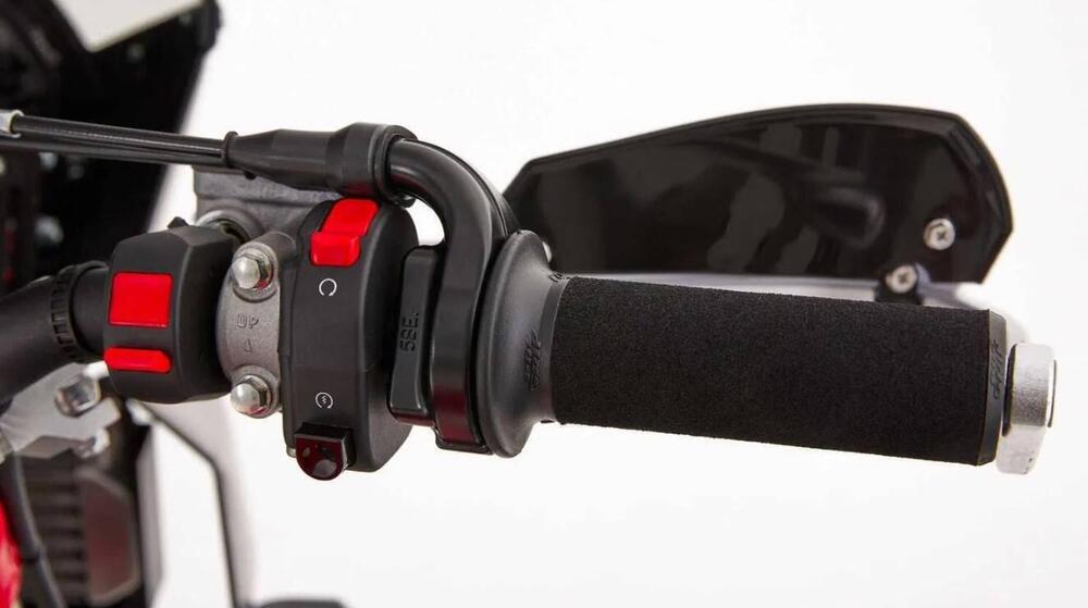 Fantic Motor XEF 450 Rally Factory (2023) (9)