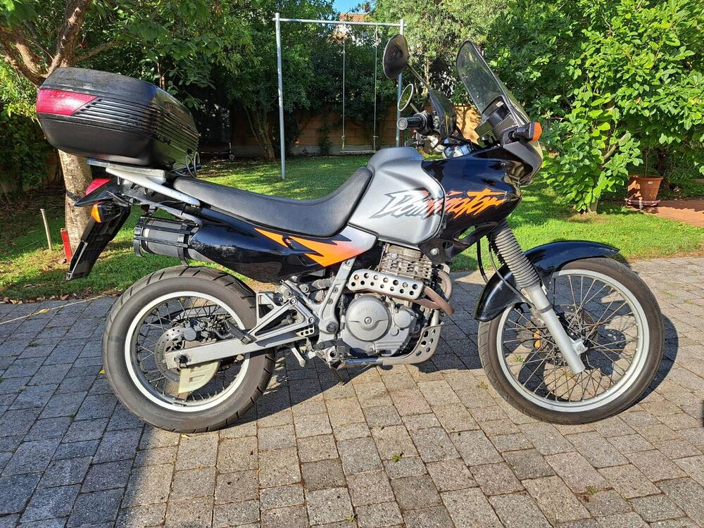 Honda NX 650 Dominator (1996 - 02) (2)