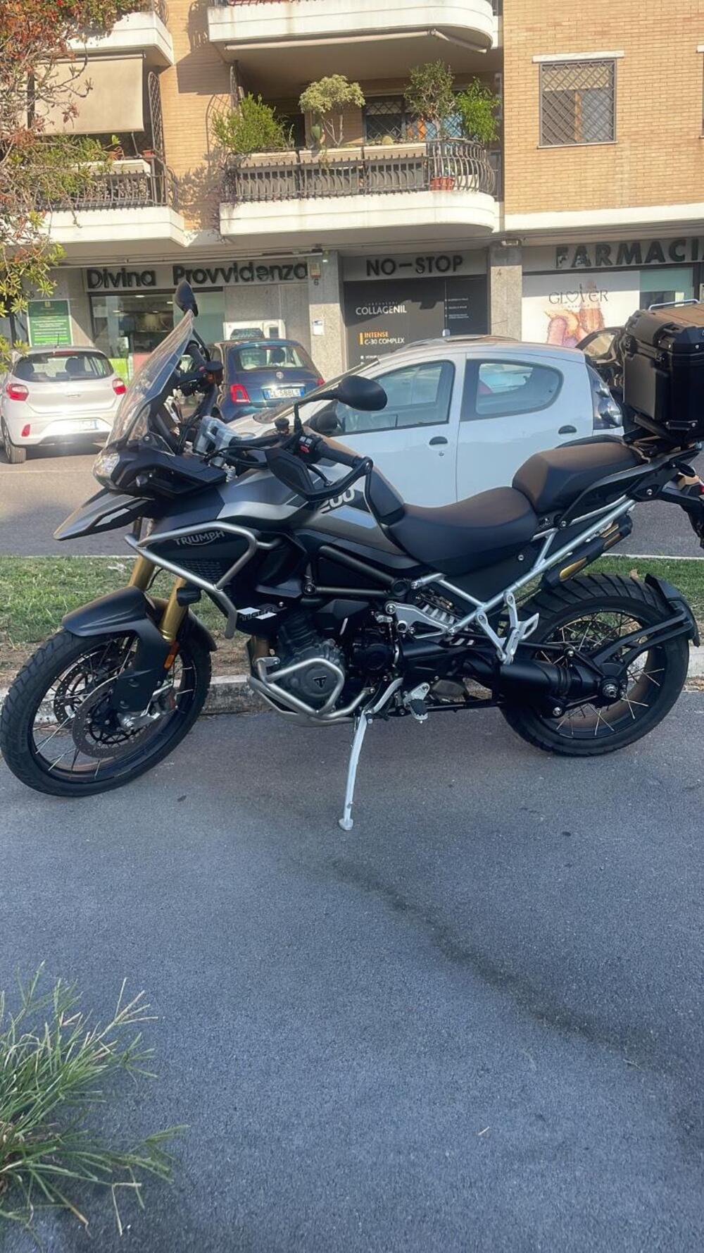 Triumph Tiger 1200 Rally Pro (2024 - 26) (6)