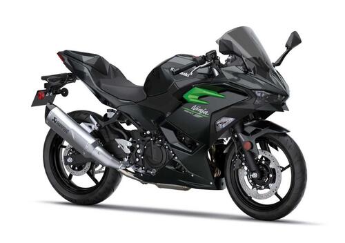 Kawasaki Ninja 500 Performance (2025 - 26)