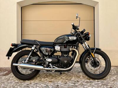 Triumph Bonneville T100 (2021 - 25) usata