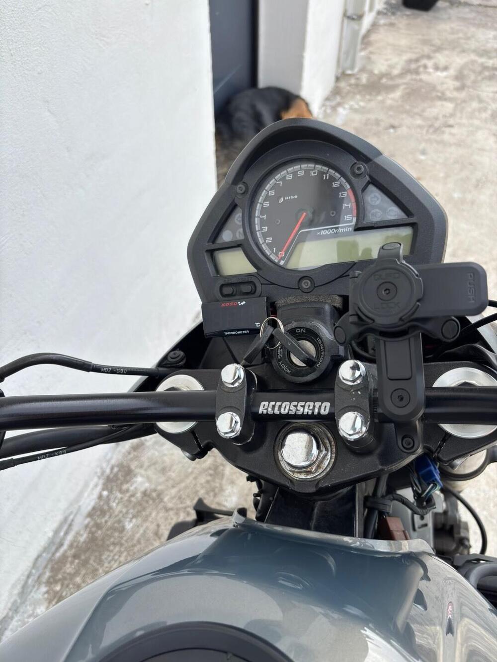 Honda Hornet 600 (2003 - 04) (3)