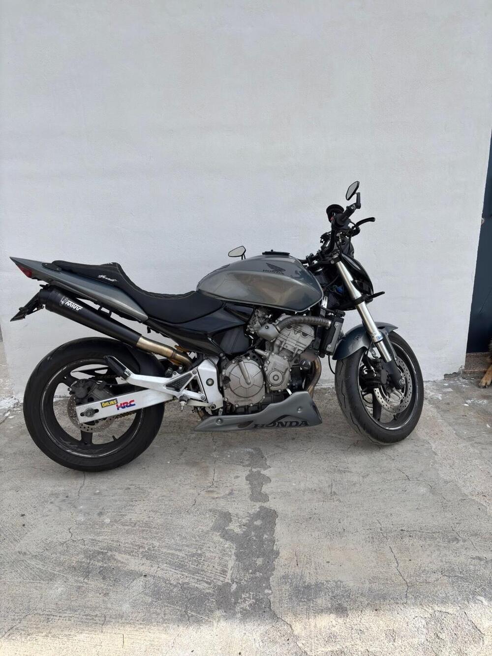 Honda Hornet 600 (2003 - 04) (4)