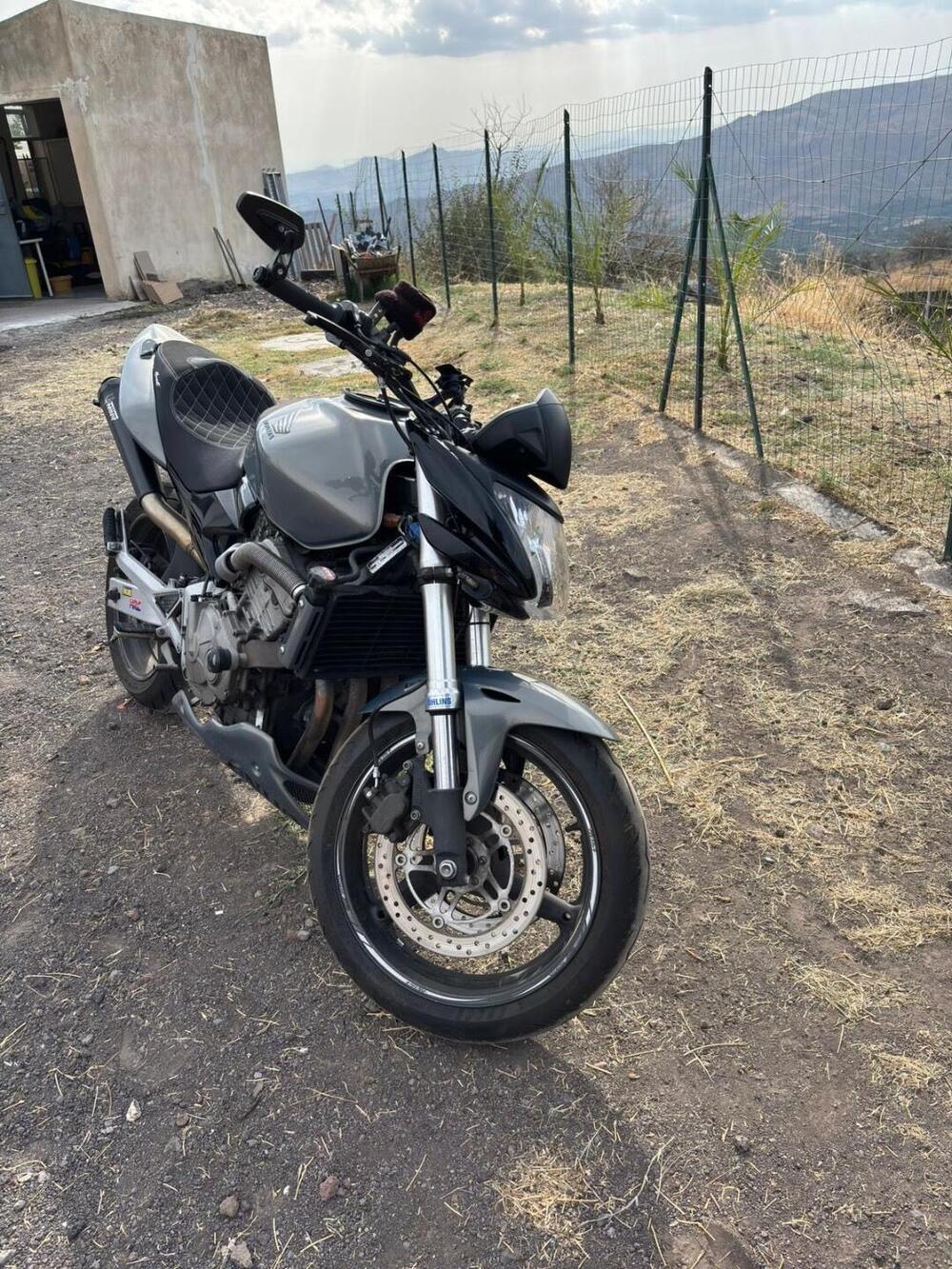 Honda Hornet 600 (2003 - 04) (10)