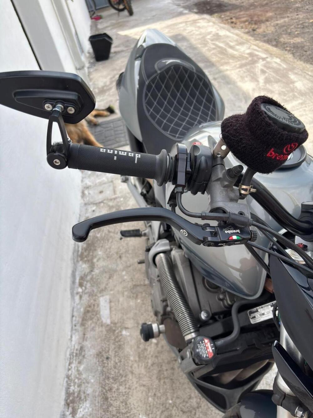 Honda Hornet 600 (2003 - 04) (15)