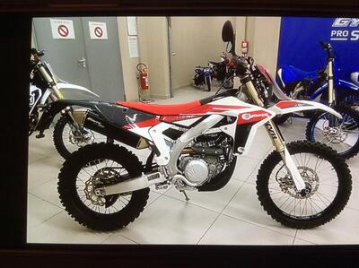 Fantic Motor XEF 450 (2024) usata