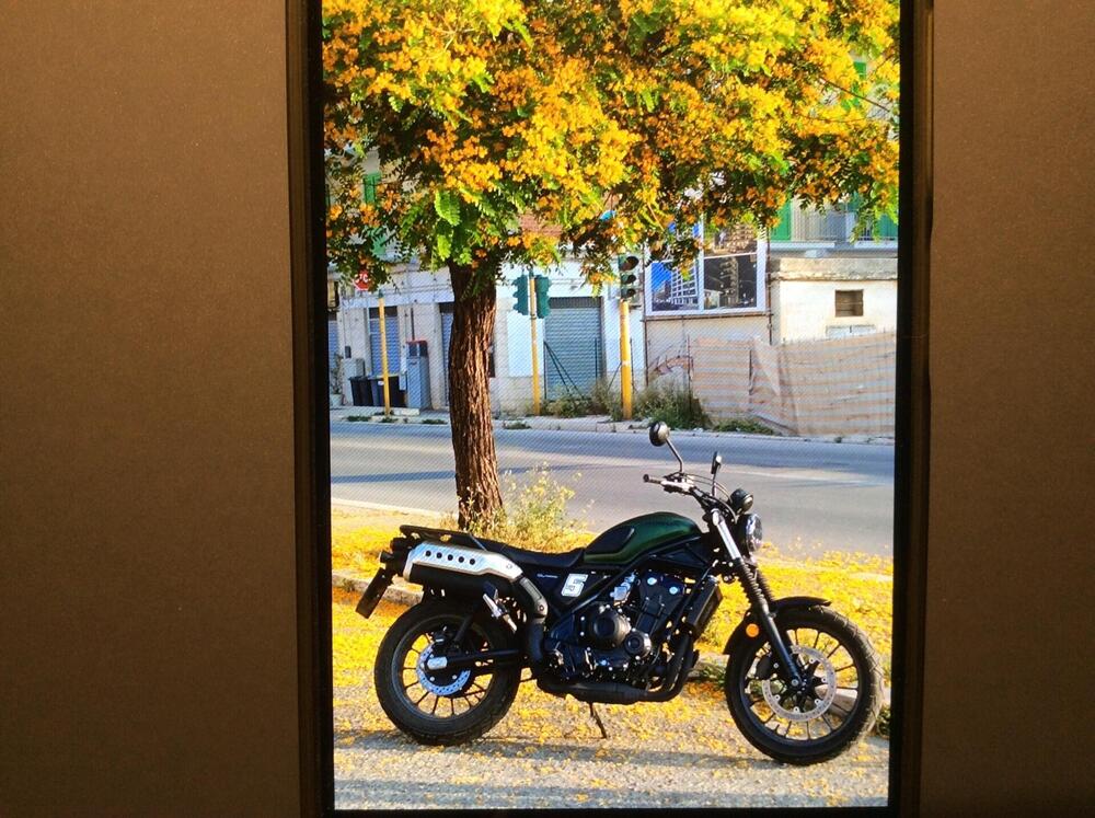 Honda CL500 (2023 - 24)