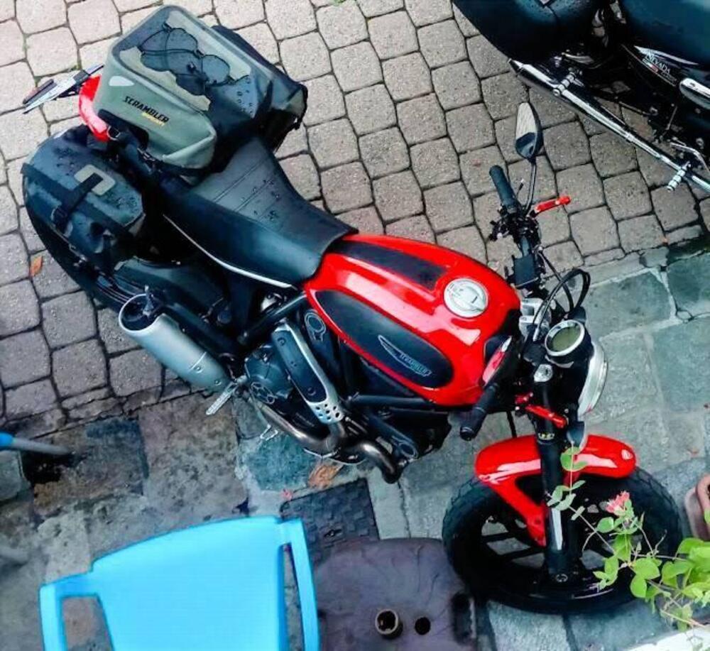 Ducati Scrambler 800 Icon (2015 - 16) (8)