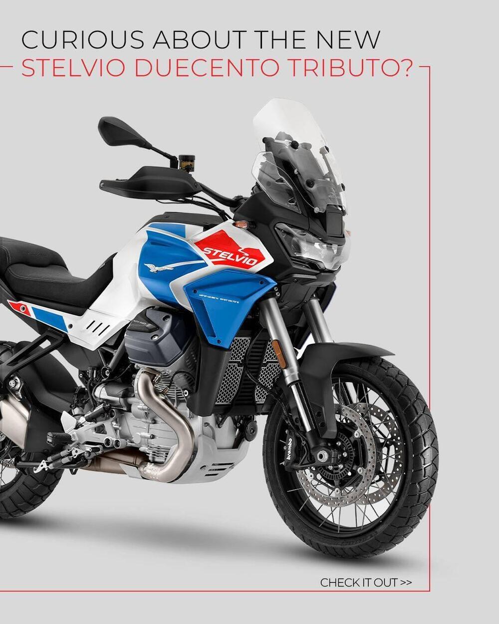 Moto Guzzi Stelvio Duecento Tributo (2025 - 26) (3)