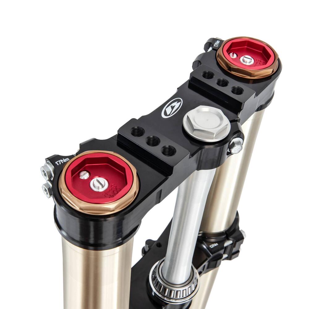 Betamotor RR 300 2T Enduro Race (2025) (12)