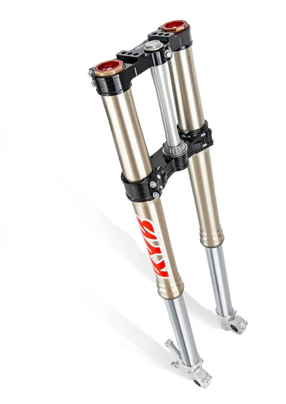 Betamotor RR 350 4T Enduro Race (2025) (4)