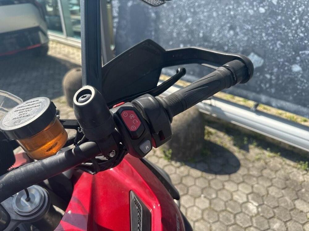 Triumph Tiger 1200 Rally Pro (2022 - 23) (10)