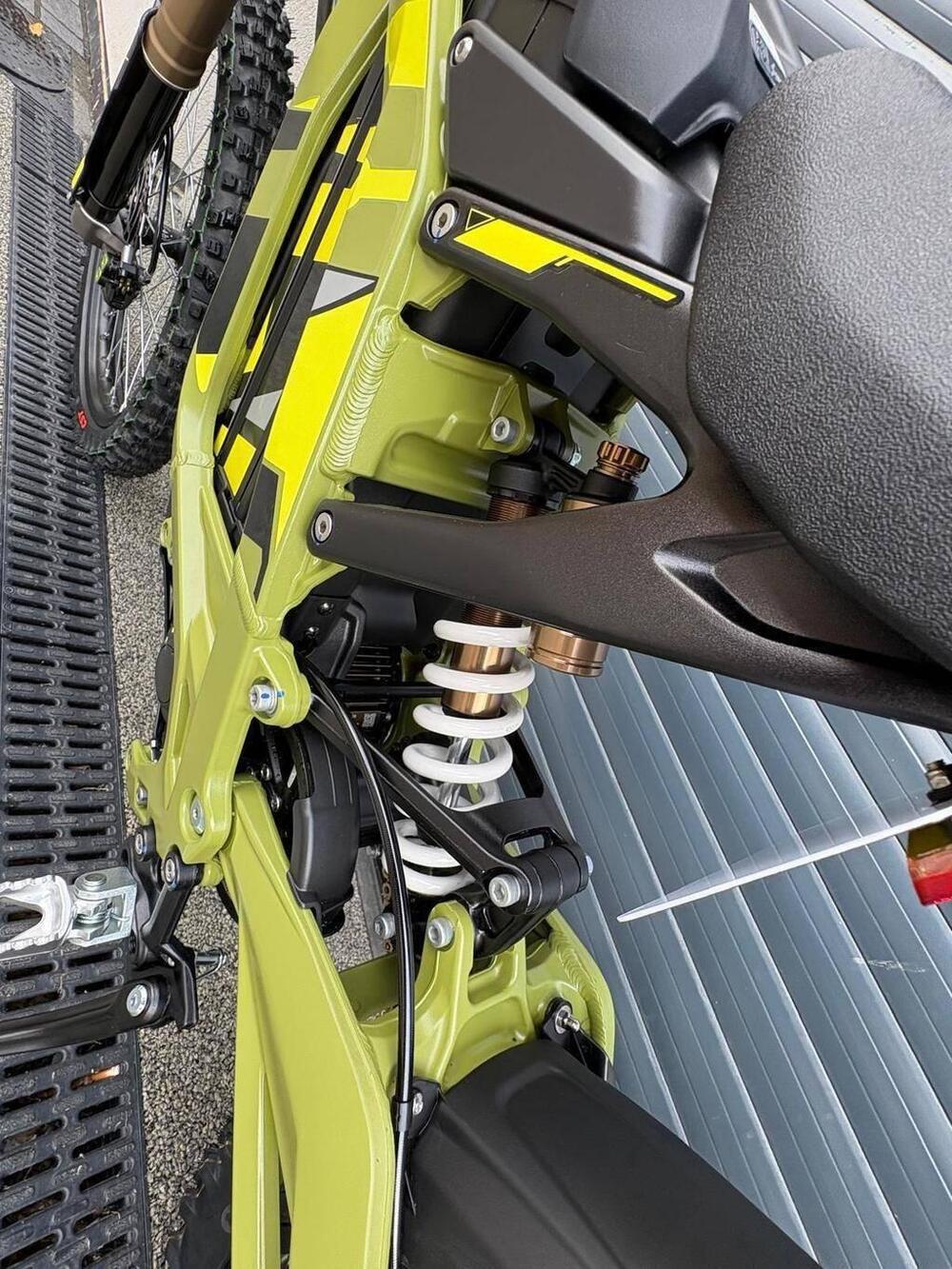 Sur - Ron Light Bee (2019 - 24) (4)