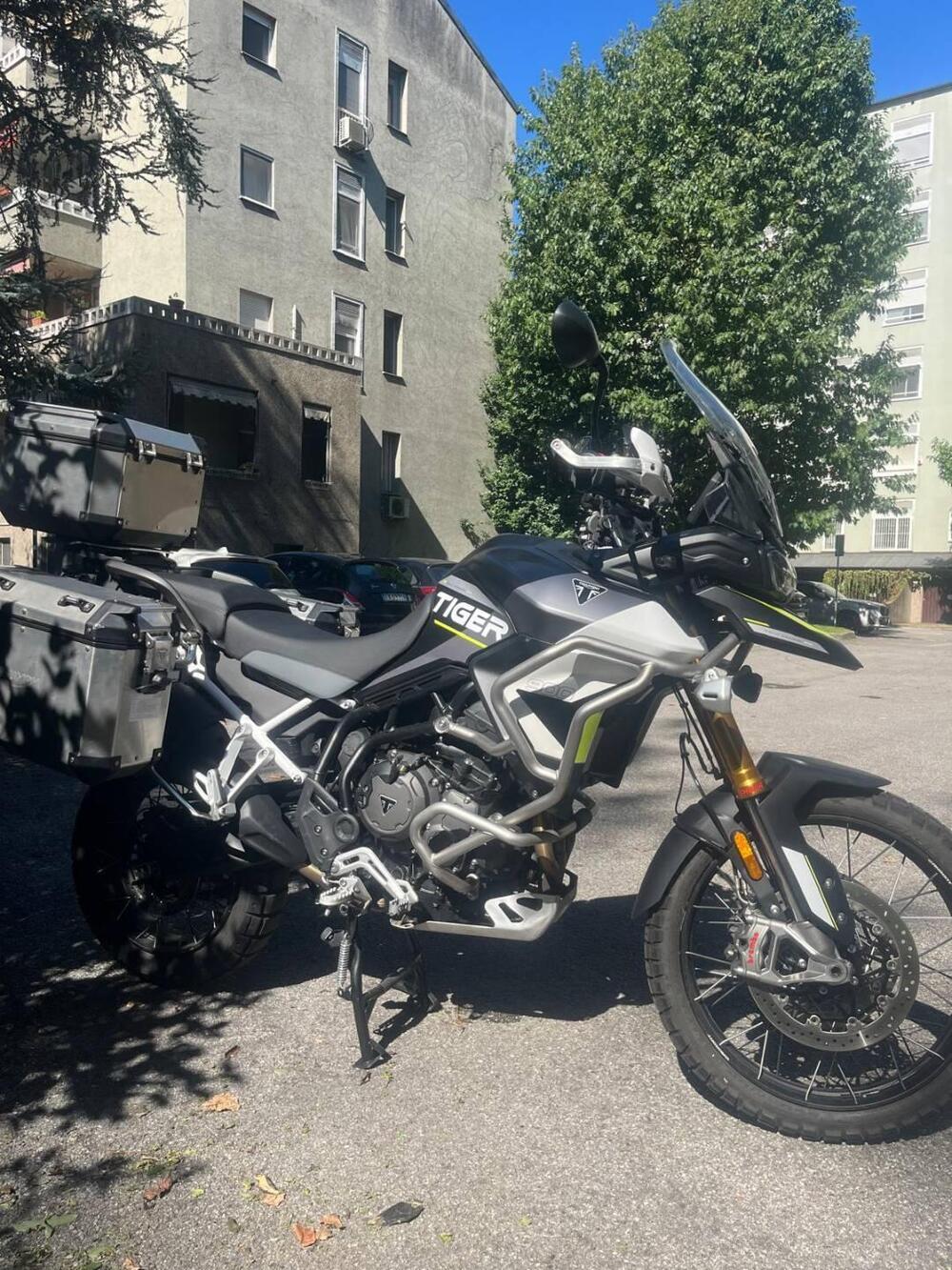 Triumph Tiger 900 Rally Aragón Edition (2023 - 24) (2)